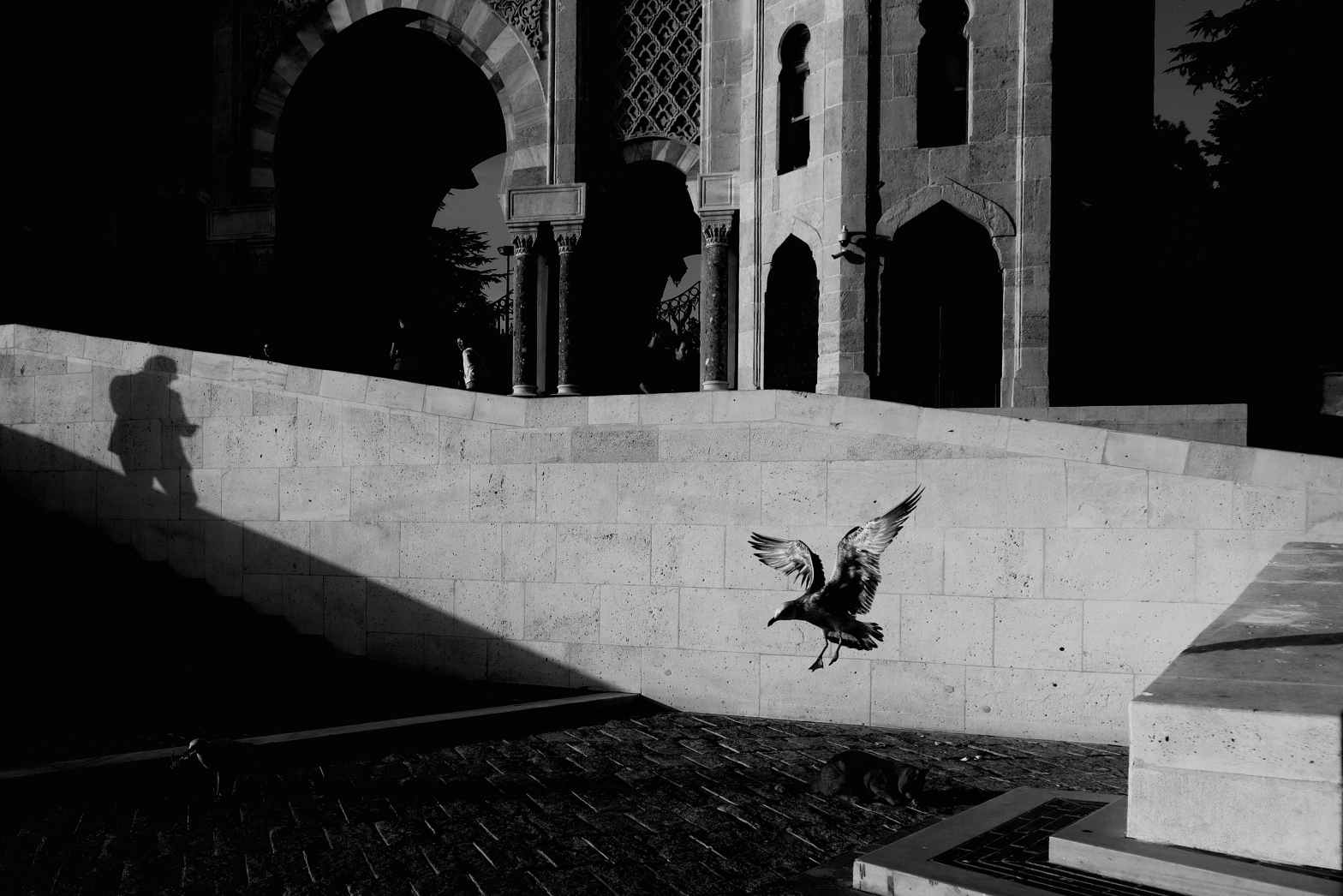 Top 10 inhabitant cities in the world